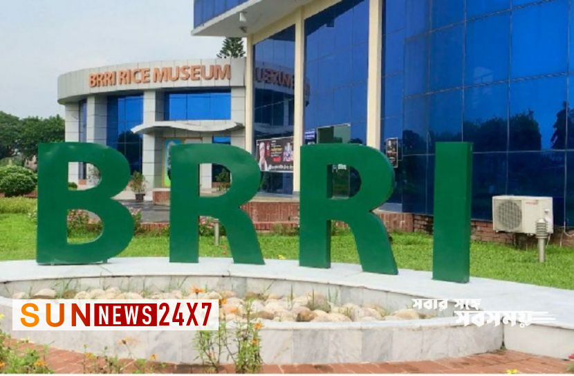 বাংলাদেশঃ চালু হল দেশের প্রথম চাল যাদুঘর