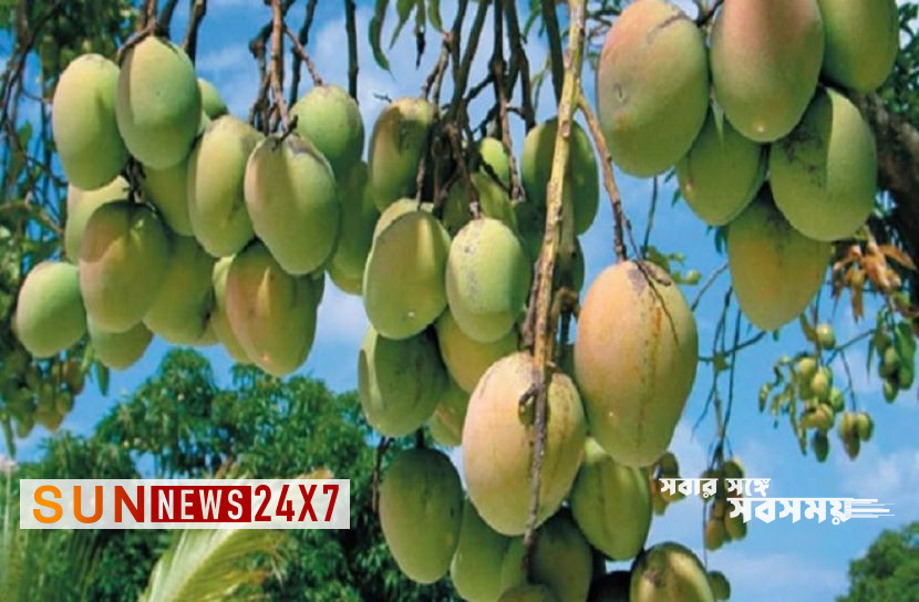 বাংলাদেশঃ এগিয়ে এলো ‘ম্যাঙ্গো ক্যালেন্ডার’ বাংলাদেশঃ এগিয়ে এলো ‘ম্যাঙ্গো ক্যালেন্ডার’