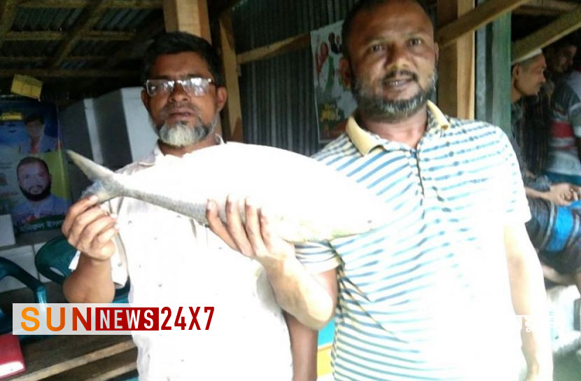 বাংলাদেশঃ এক ইলিশ ৪৬০০ টাকায় বিক্রি