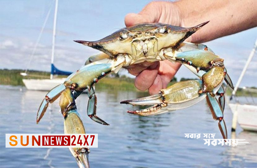 বাংলাদেশঃ উপকূলে কাঁকড়া ধরায় নিষেধাজ্ঞা