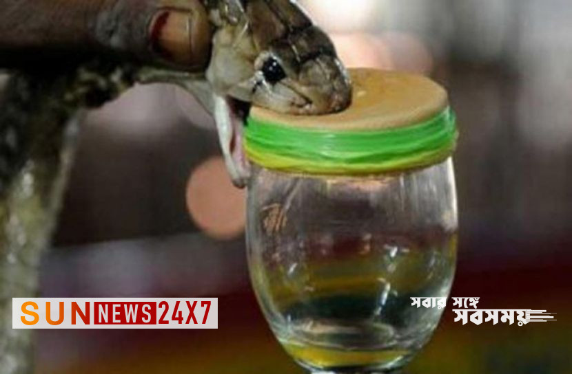 বাংলাদেশ: কোটি টাকা মূল্যের সাপের বিষ উদ্ধার