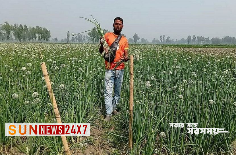 বাংলাদেশ: ৫ একর ক্ষেত নষ্ট করল দুর্বৃত্তরা বাংলাদেশ: ৫ একর ক্ষেত নষ্ট করল দুর্বৃত্তরা