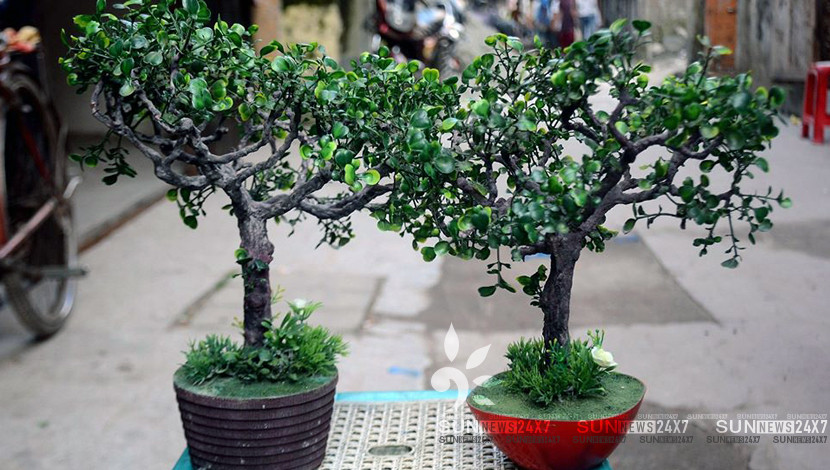 হাতে তৈরি কৃত্রিম বনসাই