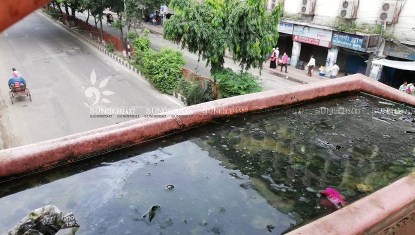 শাহাবাগ মোড়ের ওভার ব্রিজের গাছের টবে জমে পানি। দায় নিবে কে?