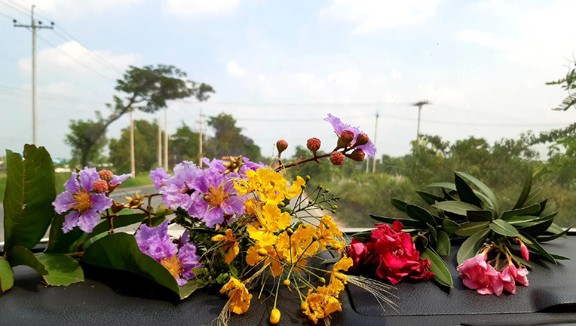 রংবেরঙের দেশীয় ফুল। (ছবি : সোহরাব মাহাদী)