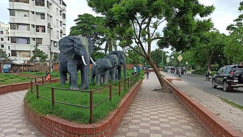 হাতিঝিলে হাতি