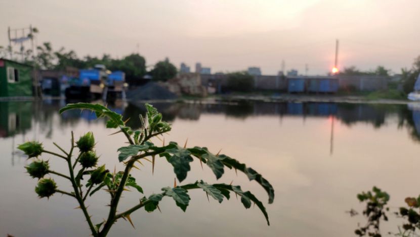 সূর্য ডুবার আগের সুন্দর সন্ধ্যা