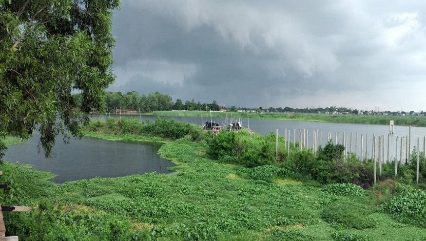 অপরূপ বর্ষায় বাংলা
মেঘাচ্ছন্ন আকাশের নিচে এক চিলতে সবুজ