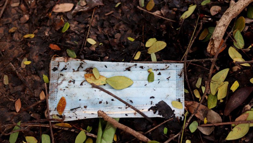 মাস্ক যখন জীবন বাঁচায়, সেই মাস্ক আবার জীবাণু ছড়ায়!  ( ছবি : সুলতানা আক্তার)