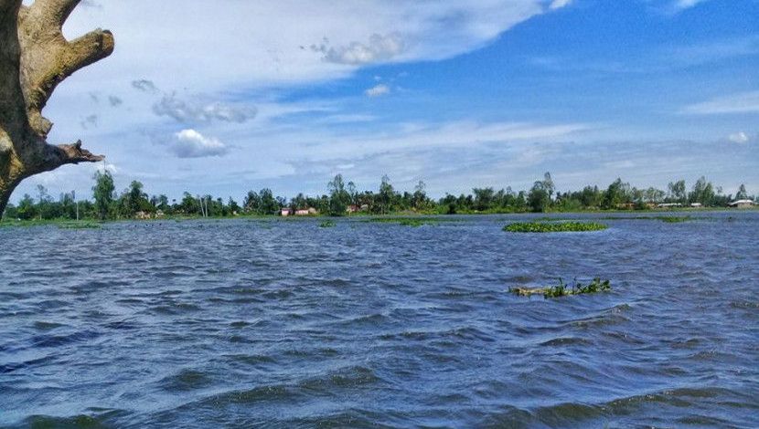 উত্তাল বিল, দিনাজপুর (ছবি: আসমাউল মুত্তাকিন)