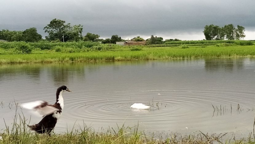 মেঘ থম থম করে...! ছবি -আরিফুজ্জামান রাকিব, সাভার