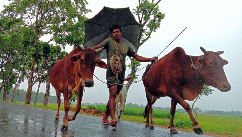 গ্রামীণ জীবন। নীলফামারী ছবি: আসমাউল মুত্তাকিন