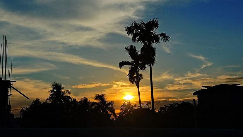 পরন্ত বিকাল। কলাতলা দিনাজপুর। ছবি: আসমাউল মুত্তাকিন