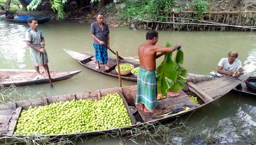 ঝালকাঠিতে ভাসমান হাটে ডিঙি নৌকায় লেবুর হাট