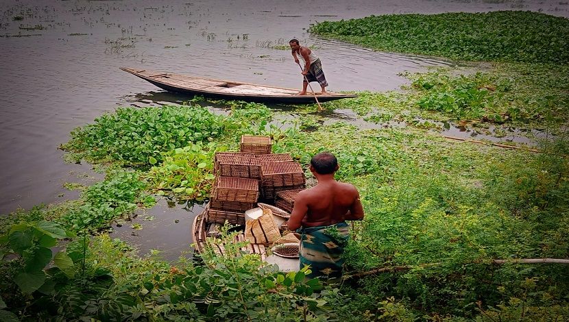 ছবি : সার্থক দে, রাজশাহী বিশ্ববিদ্যালয়।