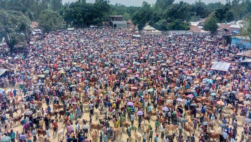 স্বাস্থ্যবিধি উপেক্ষা করে গরুর হাটে হাজার-হাজার ক্রেতা-বিক্রেতার উপস্থিতি।