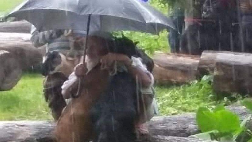 মমতা! বৃষ্টি থেকে বাঁচতে রাখালের ছাতার নিচে আশ্রয় নিয়েছে খাসি দুটি। ছবিটি সাংবাদিক আফরিন মিমের ফেসবুক থেকে নেয়া।
