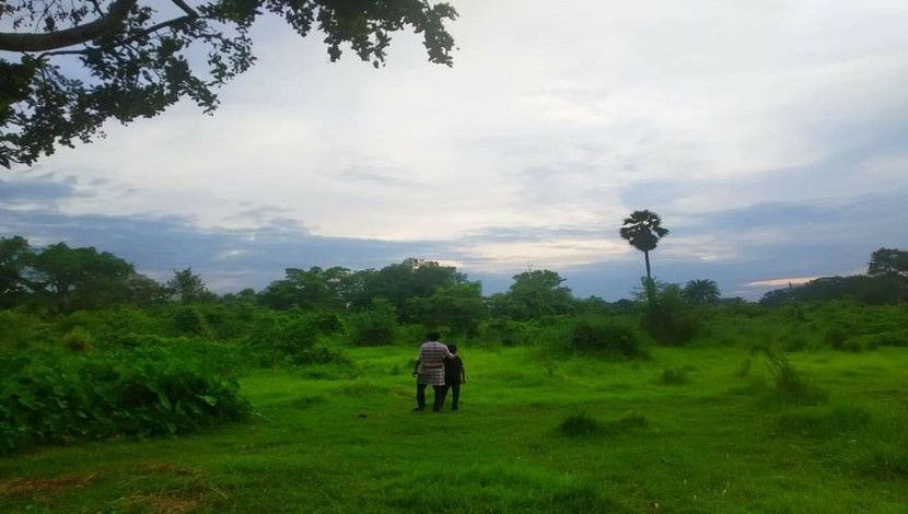 রাজশাহী বিশ্ববিদ্যালয়। ছবি : ফারজানা রহমান।