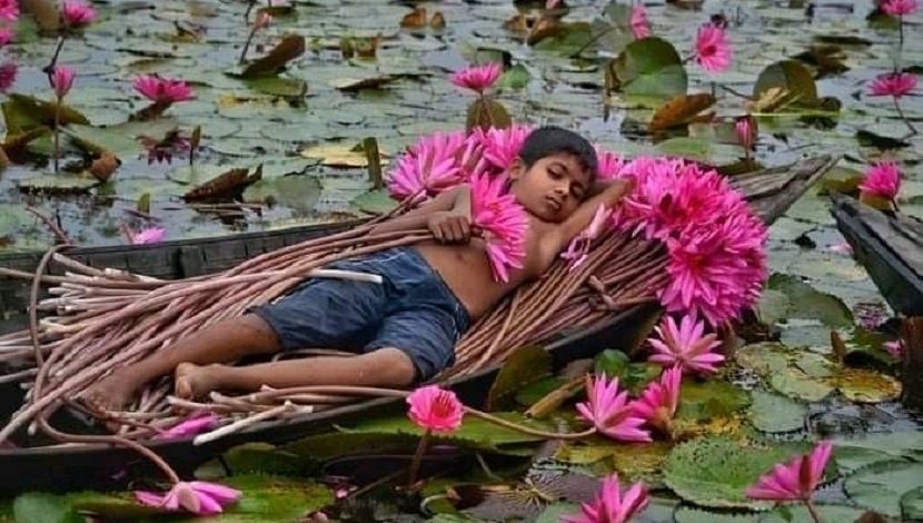 তন্দ্রাবিলাস! ছবি- ফেসবুক থেকে সংগৃহীত