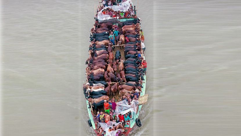 স্বপ্ন নিয়ে রাজধানীর পথে। 
ঢাকা, বাংলাদেশ। ছবি: নান্নু
