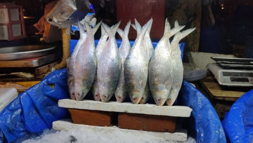 বাজারে ইলিশ আছে  দাম বেশি - ছবি : জাহিদ রাকিব