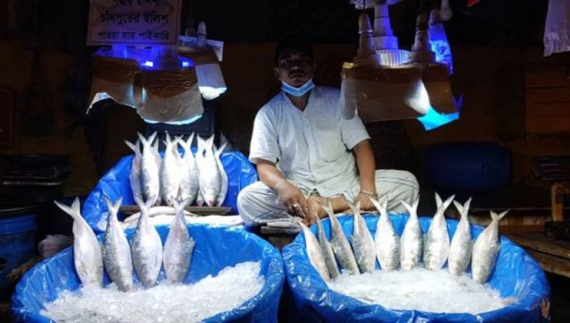 ক্রেতার অপেক্ষায় এক ইলিশ বিক্রেতা - ছবি : জাহিদ রাকিব