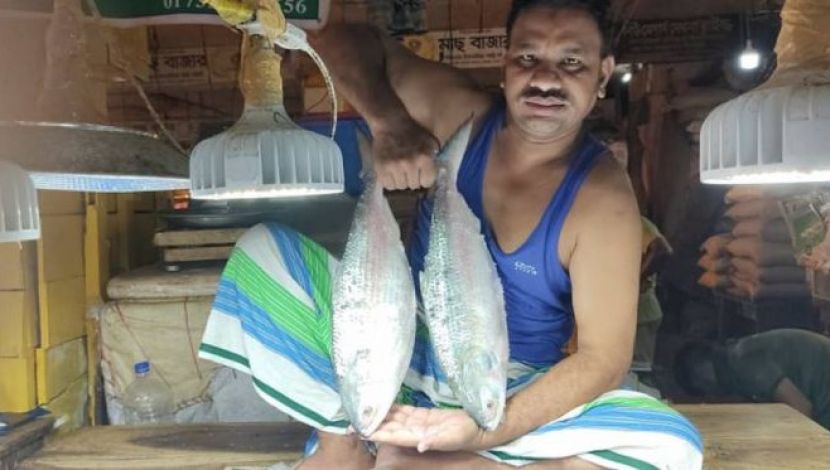 এক জোরা  ইলিশ  - ছবি : জাহিদ রাকিব