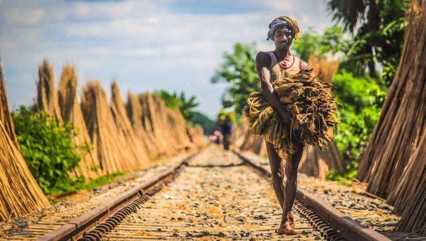 সোনা ফলানোর পরিশ্রম। ছবি- জায়েদ নাহিয়ান, স্থান- ফরিদপুর