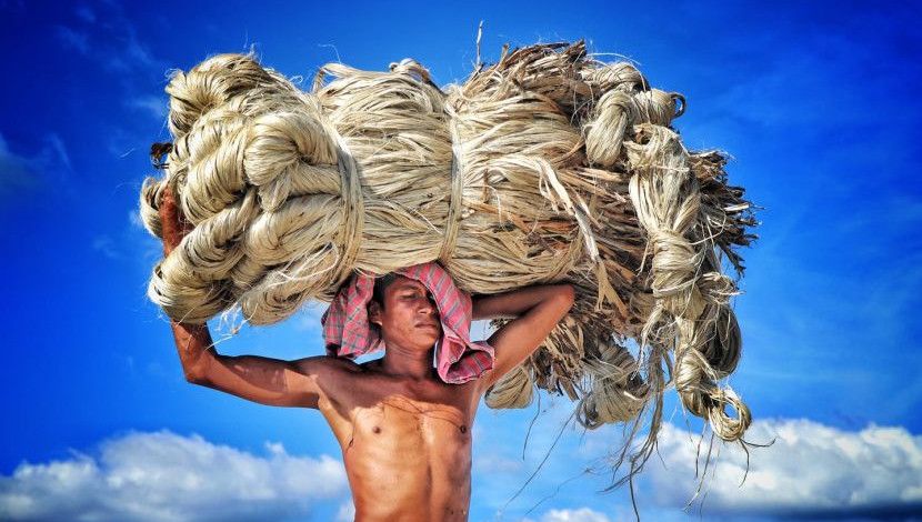 সোনালী আঁশ মাথায় নিয়ে সোনালী স্বপ্নের পথে হেঁটে যাচ্ছেন বাংলার কৃষক..! ছবি- আব্দুল হামিদ, স্থান- সিরাজগঞ্জ, তাড়াশ।