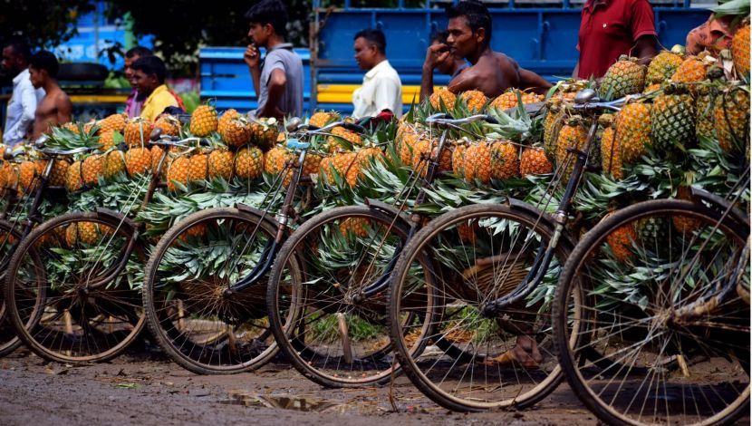 ক্রেতার অপেক্ষায় আনারস বিক্রেতারা। ছবি- আলাউদ্দিন বিন আবেদীন, মধুপুর, টাঙ্গাইল