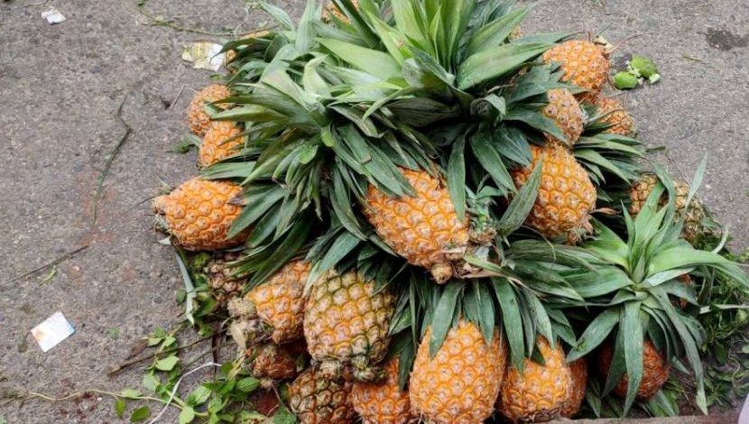 আনারস-  ছবি: সুলতানা আক্তার