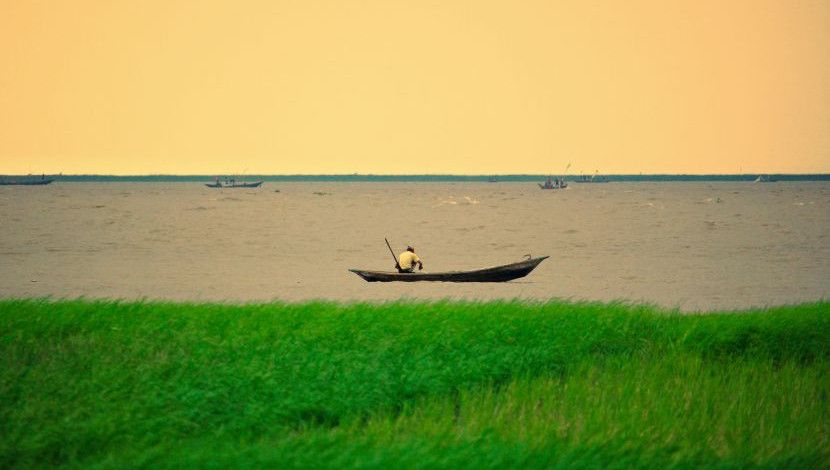 আপনি যদি প্রকৃতিকে  ভালোবাসেন তবে আপনি সব জায়গায় এর সৌন্দর্য দেখতে পাবেন....! ছবি- ফরহাদ, স্থান-সাজু মোল্লার ঘাট, রায়পুর, লক্ষ্মীপুর।