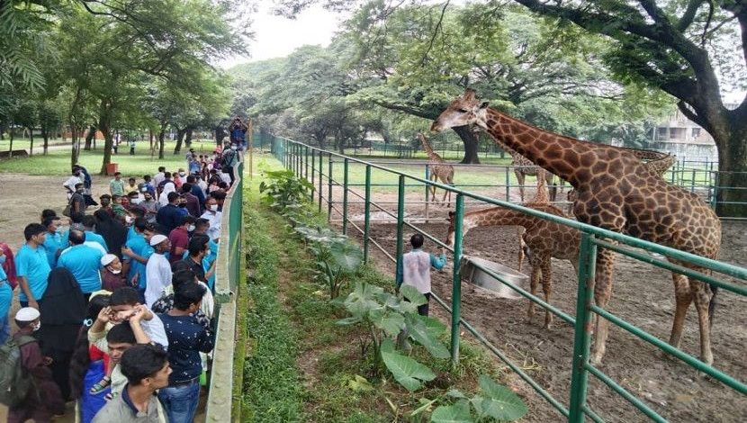 প্রায় ৫ মাস বন্ধ থাকার পর জাতীয় চিড়িয়াখানা খোলা হয়েছে। জাতীয় চিড়িয়াখানা, মিরপুর,ছবি: আলী হোসেন মিন্টু