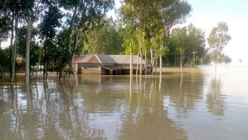 বন্যার পানিতে বসতবাড়ি ডুবে গেছে। সারিয়াকান্দি, বগুড়া, ছবি: শাহাদত জামান