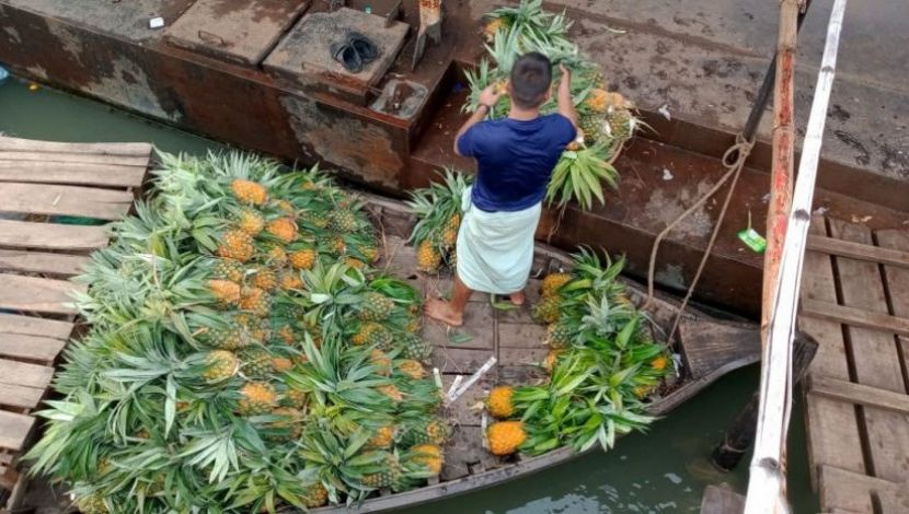 দেশের বিভিন্ন জায়গা থেকে আসছে আনারস। যা পৌঁছে যাচ্ছে ঢাকার বিভিন্ন প্রান্তে। ওয়াইজ ঘাট, ঢাকা, ছবি: আমিনুল ইসলাম নাবিল