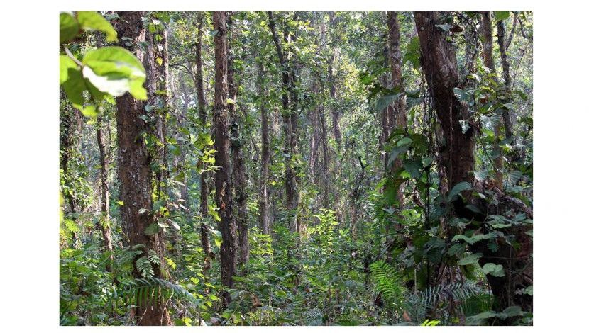 কাদিগড় জাতীয় উদ্যান ২