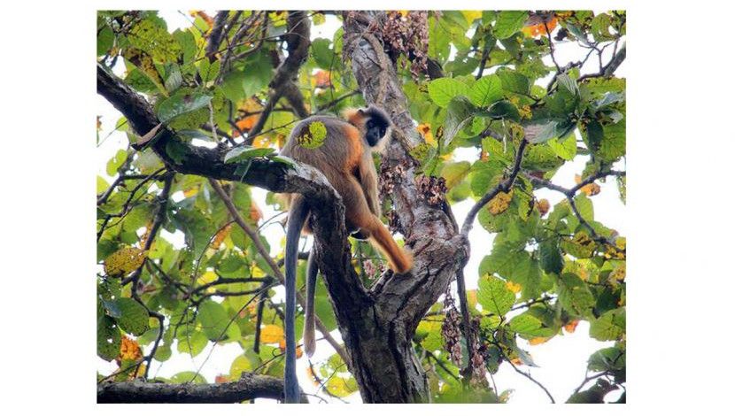 কাদিগড় জাতীয় উদ্যান ৩