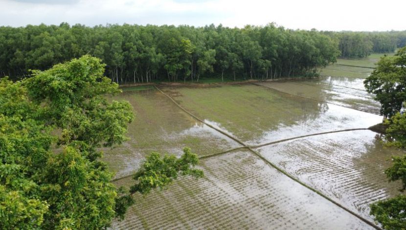 কাদিগড় জাতীয় উদ্যান ৪