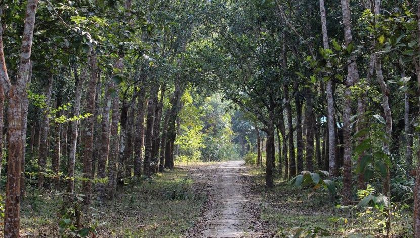 কাদিগড় জাতীয় উদ্যান ৬