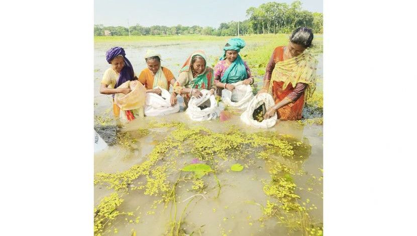 শামুক কুঁড়িয়ে জীবন চলা৩