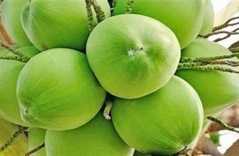 ডাবের পানির উপকারীতা