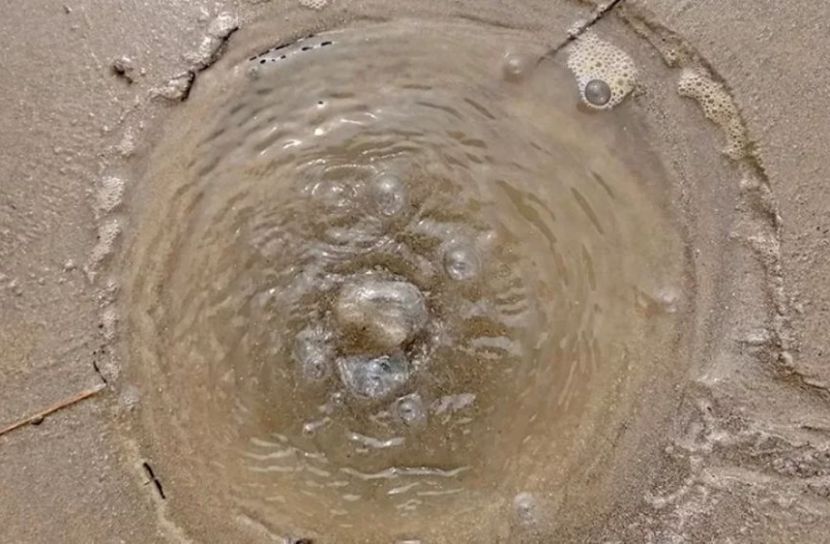 পদ্মার তীরে দিয়াশলাই ধরালে বালুতে জ্বলছে আগুন