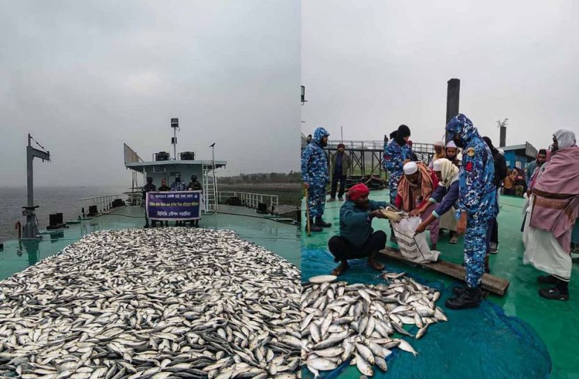 গজারিয়াতে কোস্ট গার্ডের অভিযানে ৪৩ লাখ টাকার জাটকা জব্দ