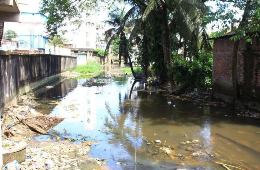 ছবি: সান নিউজ