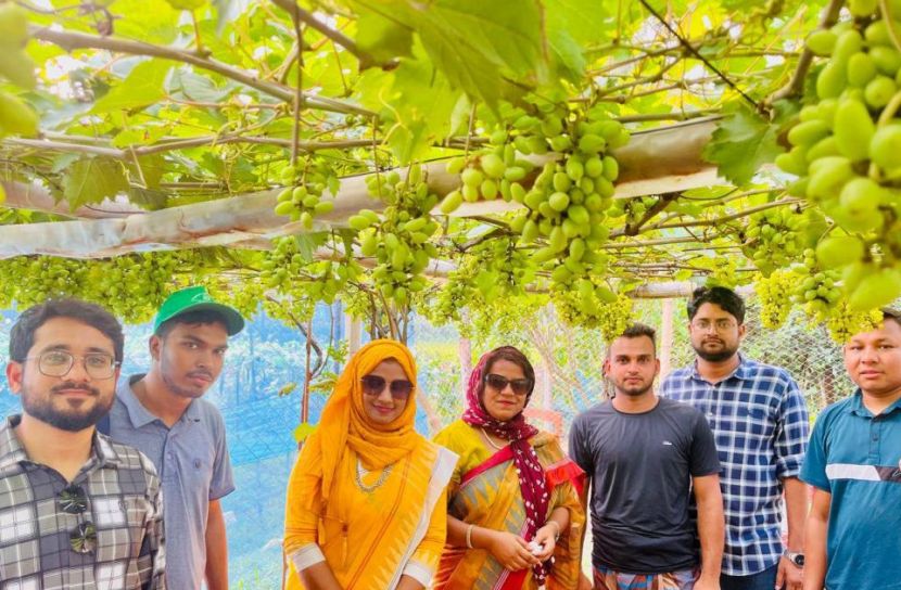 ভালুকার স্বপ্নবাজ তরুণ উদ্যোক্তা সুমনের আঙ্গুর চাষে সফলতা