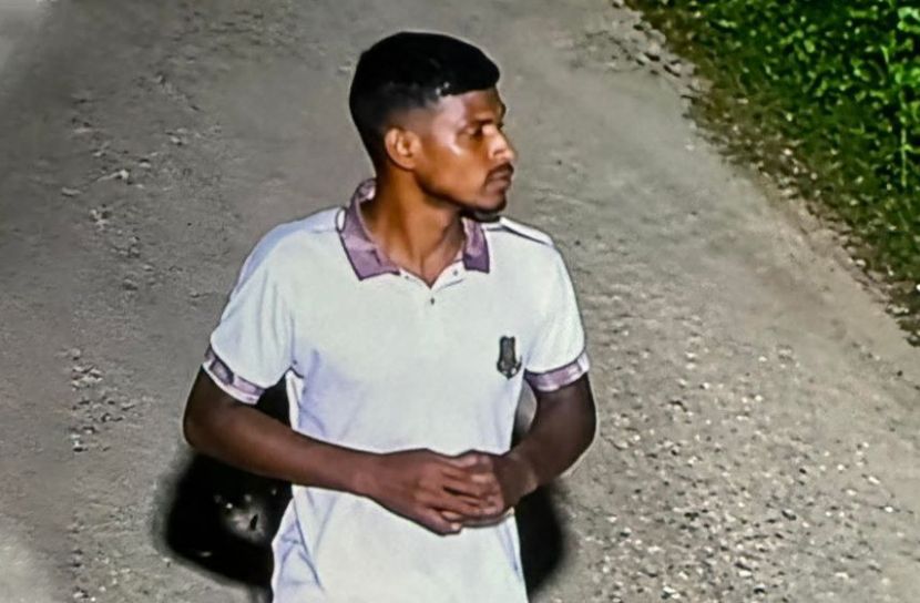 জাবিতে নারী শিক্ষার্থীকে জঙ্গলে টেনে নিয়ে ধর্ষণচেষ্টার অভিযোগ