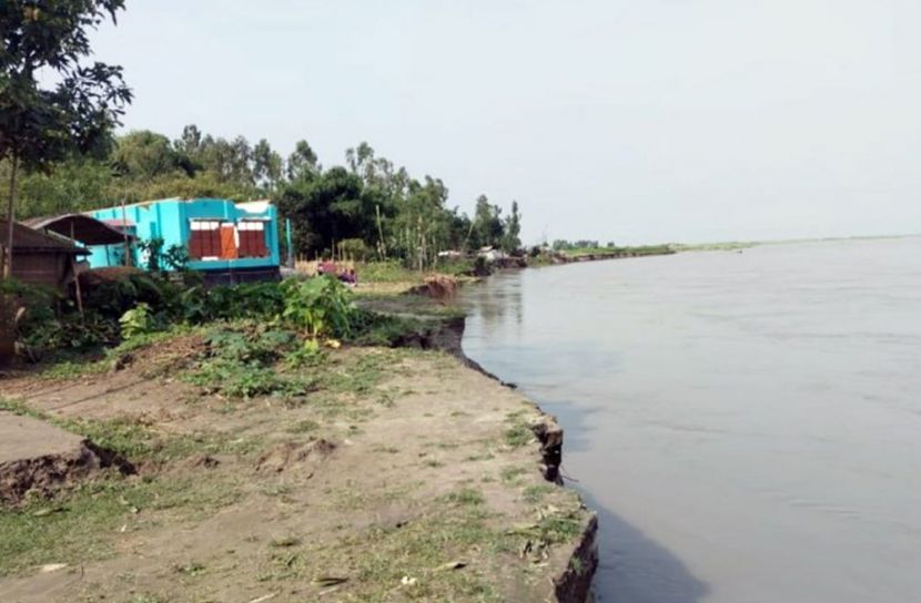 কুড়িগ্রাম ব্রহ্মপুত্র নদের ভাঙনে ৫০ ঘরবাড়ি বিলীন