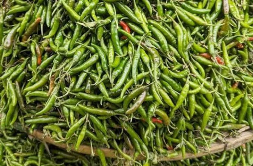 নওগাঁয় কাঁচা মরিচের কেজি ৩০০ টাকা