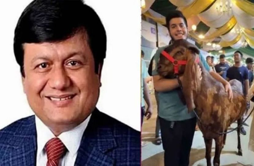 ছাগলকাণ্ডে আলোচিত কর্মকর্তা মতিউরের বিচার শুরু