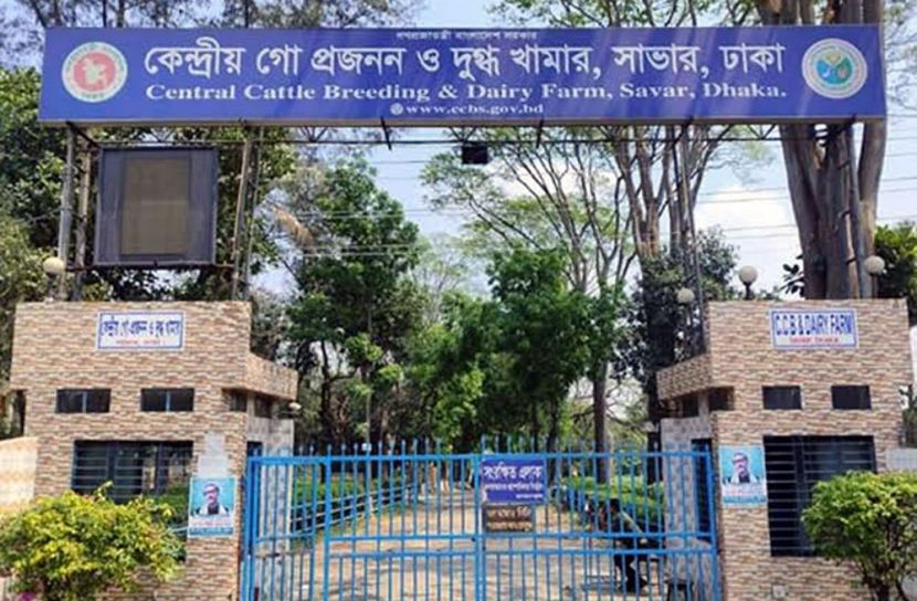 ডেইরি ফার্মে আবেদ আলীর  অপরাধ সাম্রাজ্য